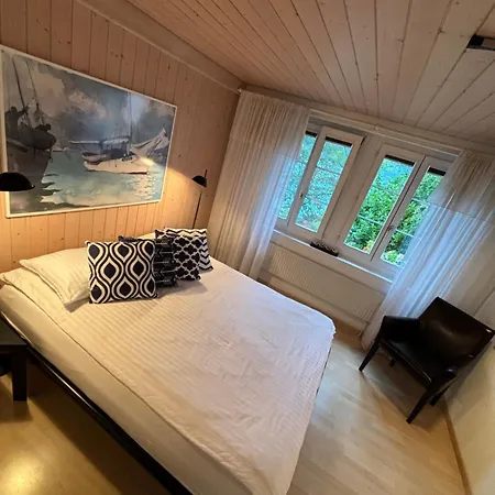 公寓 Park 因特拉肯